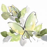 Social Butterflies IV by Chris Paschke. SKU 100297a. Archival Giclee Fine art print for wall decor.