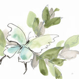 Social Butterflies V by Chris Paschke. SKU 100298a. Archival Giclee Fine art print for wall decor.