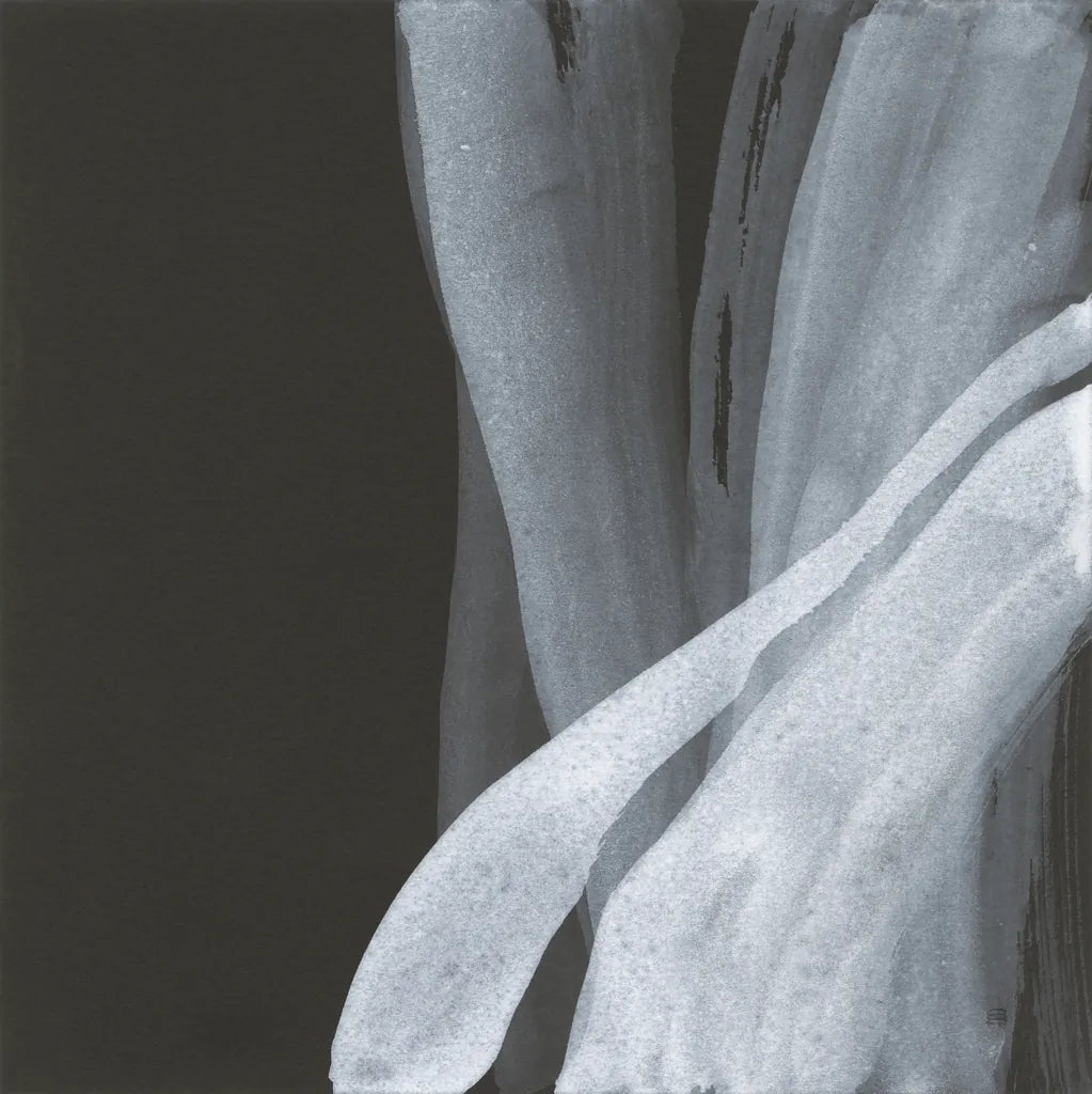 Soft White I by Chris Paschke. SKU 84563a. Archival Giclee Fine art print for wall decor.