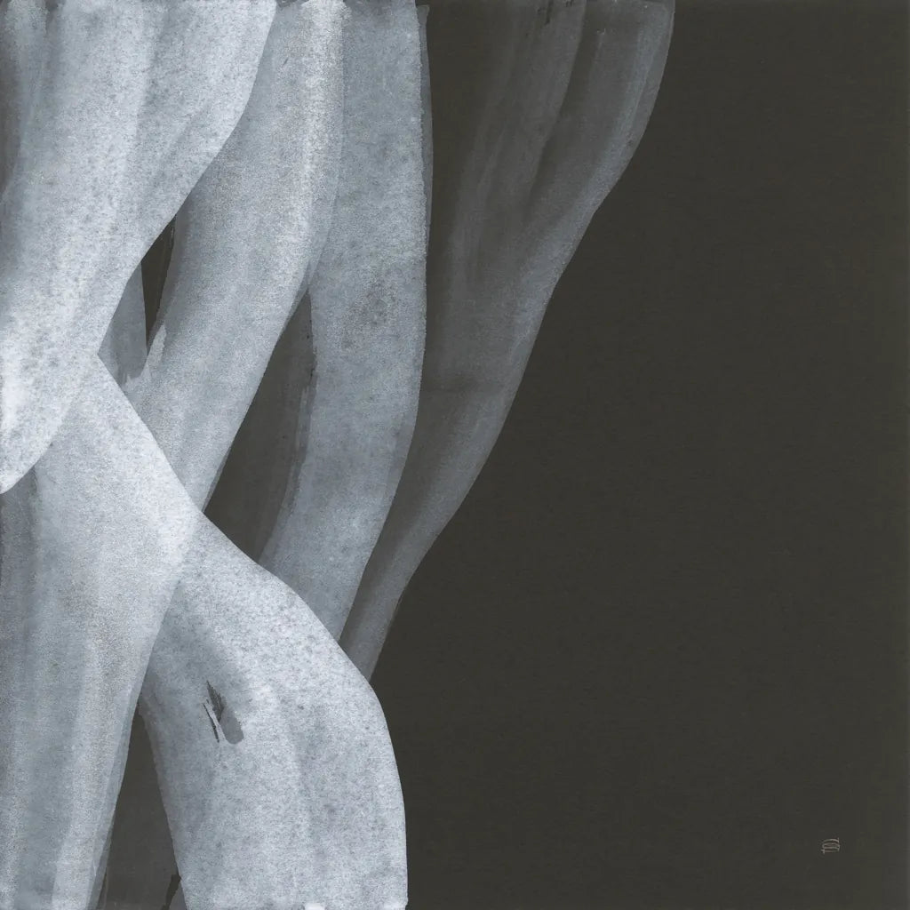 Soft White II by Chris Paschke. SKU 84564a. Archival Giclee Fine art print for wall decor.