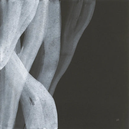 Soft White II by Chris Paschke. SKU 84564a. Archival Giclee Fine art print for wall decor.