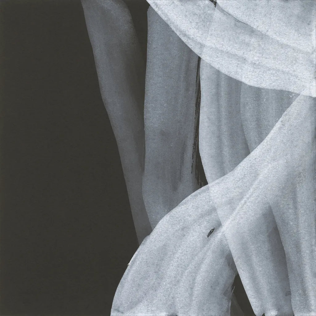 Soft White III by Chris Paschke. SKU 84565a. Archival Giclee Fine art print for wall decor.