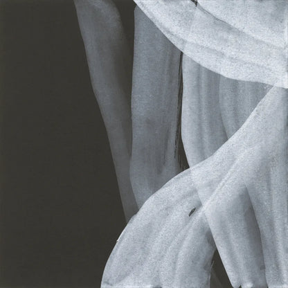 Soft White III by Chris Paschke. SKU 84565a. Archival Giclee Fine art print for wall decor.