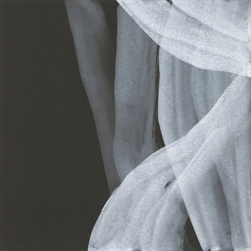 Soft White III by Chris Paschke. SKU 84565a. Archival Giclee Fine art print for wall decor.