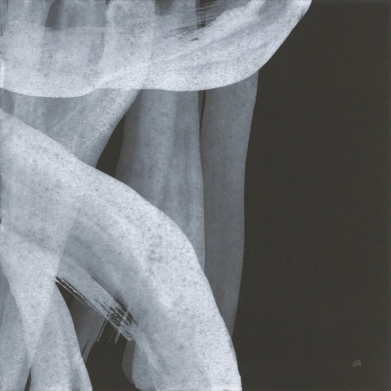 Soft White IV by Chris Paschke. SKU 84566a. Archival Giclee Fine art print for wall decor.