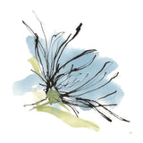 Spider Mum Blue I by Chris Paschke. SKU 88098a. Archival Giclee Fine art print for wall decor.