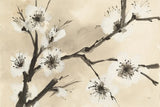 Spring Blossoms II by Chris Paschke. SKU 25206i. Archival Giclee Fine art print for wall decor.