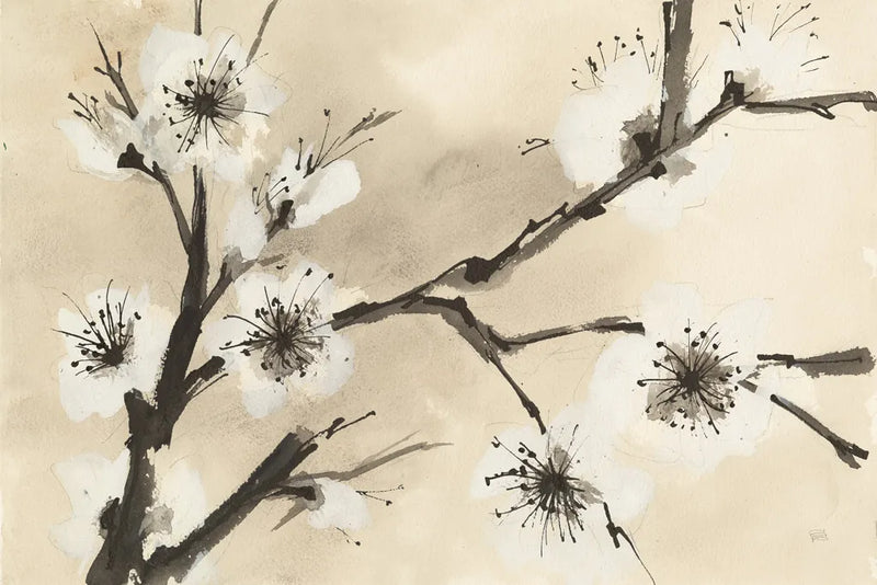 Spring Blossoms II by Chris Paschke. SKU 25206i. Archival Giclee Fine art print for wall decor.