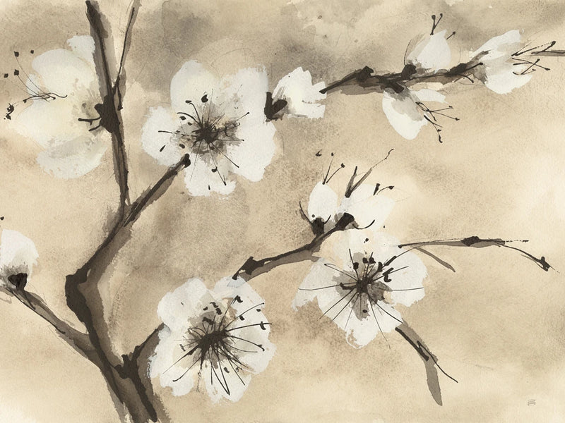 Spring Blossoms IV Crop by Chris Paschke