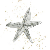 Starfish I by Chris Paschke. SKU 66538a. Archival Giclee Fine art print for wall decor.