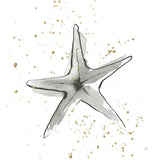 Starfish II by Chris Paschke. SKU 66539a. Archival Giclee Fine art print for wall decor.