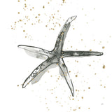 Starfish III by Chris Paschke. SKU 66540a. Archival Giclee Fine art print for wall decor.