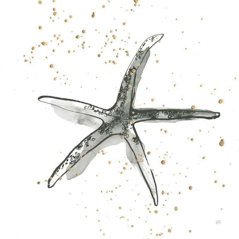 Starfish III by Chris Paschke. SKU 66540a. Archival Giclee Fine art print for wall decor.