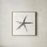 Starfish III by Chris Paschke. Shown in a natural wood glass frame for a timeless modern aesthetic. Available as an archival giclee rolled canvas, fine art paper, or poster print. SKU 66540a.