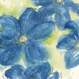 Starlight Clematis II by Chris Paschke. SKU 50156a. Archival Giclee Fine art print for wall decor.