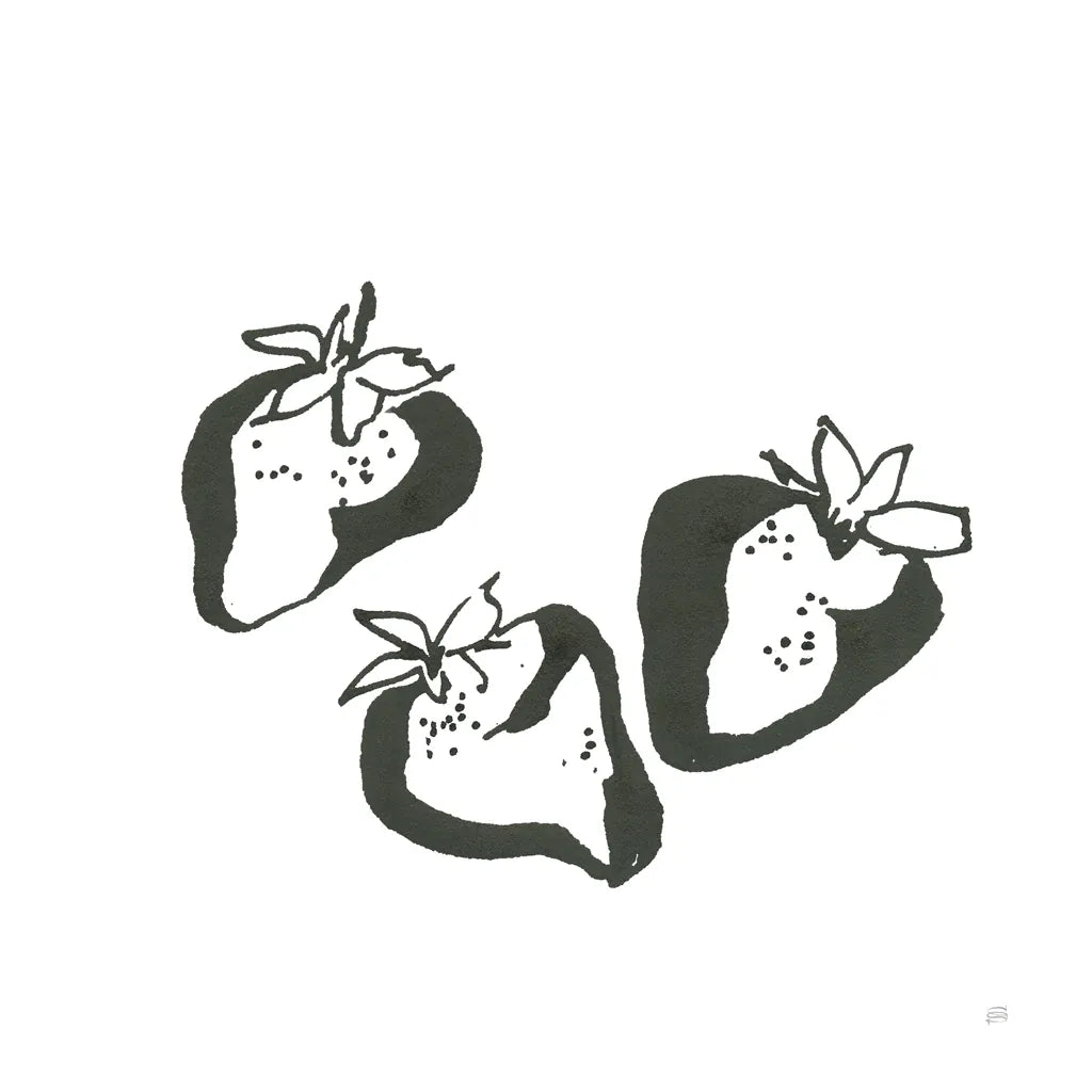 Strawberries BW by Chris Paschke. SKU 64225a. Archival Giclee Fine art print for wall decor.