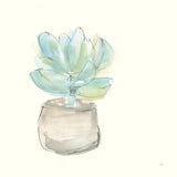 Succulent I by Chris Paschke. SKU 55049a. Archival Giclee Fine art print for wall decor.
