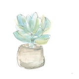 Succulent I White by Chris Paschke. SKU 59793a. Archival Giclee Fine art print for wall decor.