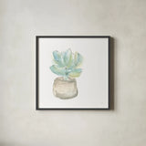 Succulent I White by Chris Paschke. Shown in a sleek black glass frame for a contemporary gallery look. Available as an archival giclee rolled canvas, fine art paper, or poster print. SKU 59793a.