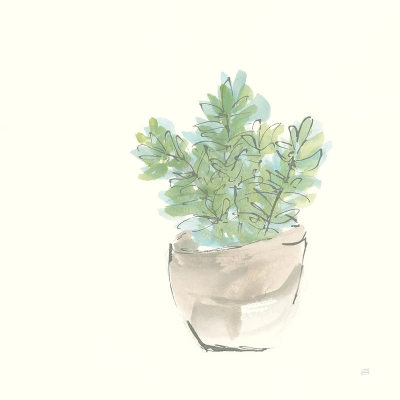 Succulent II by Chris Paschke. SKU 55050a. Archival Giclee Fine art print for wall decor.
