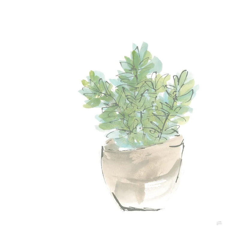 Succulent II White by Chris Paschke. SKU 59794a. Archival Giclee Fine art print for wall decor.