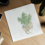 Succulent II White by Chris Paschke. Shown as a detailed flat fine art print, highlighting archival giclee quality. Available as an archival giclee rolled canvas, fine art paper, or poster print. SKU 59794a.