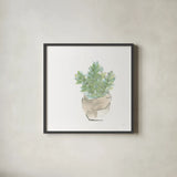 Succulent II White by Chris Paschke. Shown in a sleek black glass frame for a contemporary gallery look. Available as an archival giclee rolled canvas, fine art paper, or poster print. SKU 59794a.
