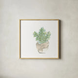 Succulent II White by Chris Paschke. Shown in a natural wood glass frame for a timeless modern aesthetic. Available as an archival giclee rolled canvas, fine art paper, or poster print. SKU 59794a.
