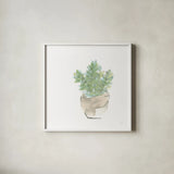 Succulent II White by Chris Paschke. Shown in a crisp white glass frame for a clean and minimalist style. Available as an archival giclee rolled canvas, fine art paper, or poster print. SKU 59794a.