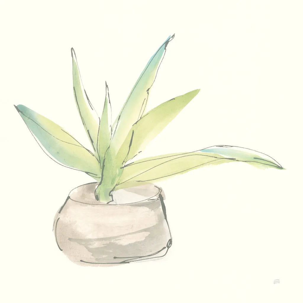 Succulent III by Chris Paschke. SKU 55051a. Archival Giclee Fine art print for wall decor.