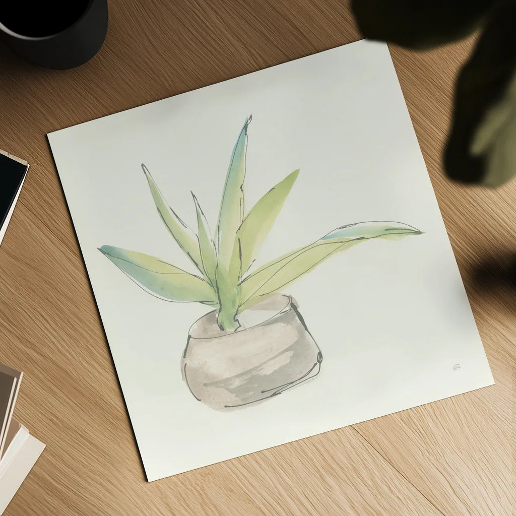 Succulent III by Chris Paschke. Shown as a detailed flat fine art print, highlighting archival giclee quality. Available as an archival giclee rolled canvas, fine art paper, or poster print. SKU 55051a.