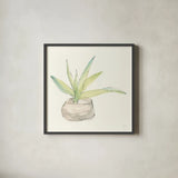 Succulent III by Chris Paschke. Shown in a sleek black glass frame for a contemporary gallery look. Available as an archival giclee rolled canvas, fine art paper, or poster print. SKU 55051a.