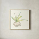 Succulent III by Chris Paschke. Shown in a natural wood glass frame for a timeless modern aesthetic. Available as an archival giclee rolled canvas, fine art paper, or poster print. SKU 55051a.