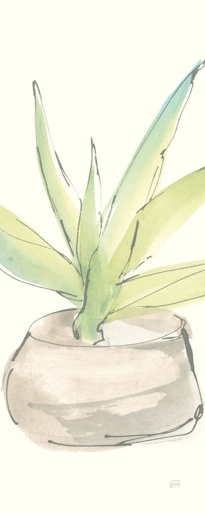 Succulent III Crop by Chris Paschke