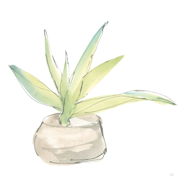 Succulent III White by Chris Paschke. SKU 59795a. Archival Giclee Fine art print for wall decor.