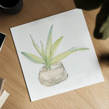 Succulent III White by Chris Paschke. Shown as a detailed flat fine art print, highlighting archival giclee quality. Available as an archival giclee rolled canvas, fine art paper, or poster print. SKU 59795a.