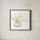 Succulent III White by Chris Paschke. Shown in a sleek black glass frame for a contemporary gallery look. Available as an archival giclee rolled canvas, fine art paper, or poster print. SKU 59795a.