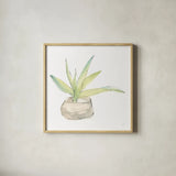 Succulent III White by Chris Paschke. Shown in a natural wood glass frame for a timeless modern aesthetic. Available as an archival giclee rolled canvas, fine art paper, or poster print. SKU 59795a.