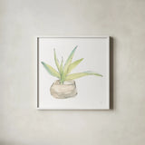 Succulent III White by Chris Paschke. Shown in a crisp white glass frame for a clean and minimalist style. Available as an archival giclee rolled canvas, fine art paper, or poster print. SKU 59795a.