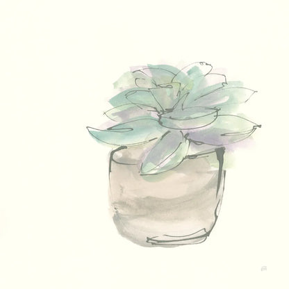 Succulent IV by Chris Paschke. SKU 55052a. Archival Giclee Fine art print for wall decor.