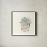 Succulent IV by Chris Paschke. Shown in a sleek black glass frame for a contemporary gallery look. Available as an archival giclee rolled canvas, fine art paper, or poster print. SKU 55052a.