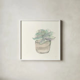 Succulent IV by Chris Paschke. Shown in a crisp white glass frame for a clean and minimalist style. Available as an archival giclee rolled canvas, fine art paper, or poster print. SKU 55052a.