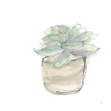 Succulent IV White by Chris Paschke. SKU 59796a. Archival Giclee Fine art print for wall decor.