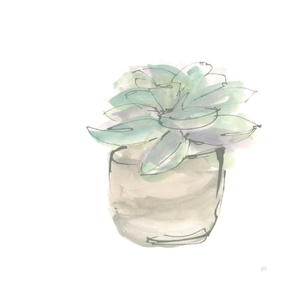 Succulent IV White by Chris Paschke. SKU 59796a. Archival Giclee Fine art print for wall decor.