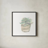 Succulent IV White by Chris Paschke. Shown in a sleek black glass frame for a contemporary gallery look. Available as an archival giclee rolled canvas, fine art paper, or poster print. SKU 59796a.