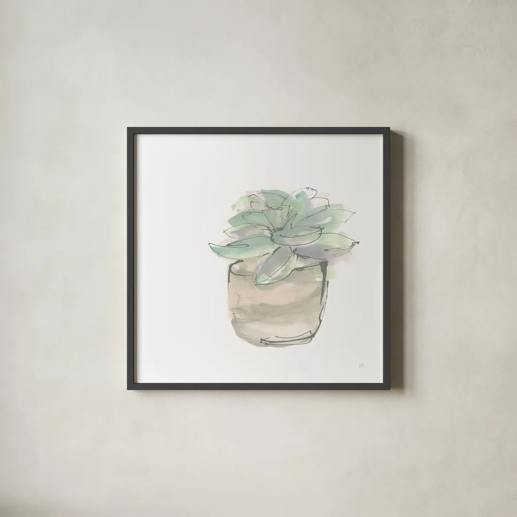 Succulent IV White by Chris Paschke. Shown in a sleek black glass frame for a contemporary gallery look. Available as an archival giclee rolled canvas, fine art paper, or poster print. SKU 59796a.