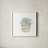Succulent IV White by Chris Paschke. Shown in a crisp white glass frame for a clean and minimalist style. Available as an archival giclee rolled canvas, fine art paper, or poster print. SKU 59796a.