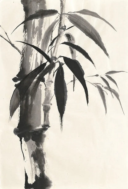 Sumi Bamboo Cream by Chris Paschke. SKU 30837h. Archival Giclee Fine art print for wall decor.