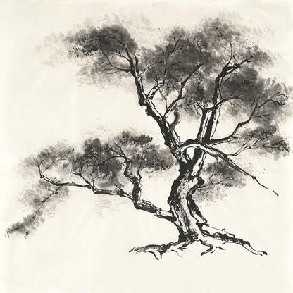 Sumi Tree II by Chris Paschke. SKU 25176a. Archival Giclee Fine art print for wall decor.