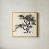 Sumi Tree II by Chris Paschke. Shown in a natural wood glass frame for a timeless modern aesthetic. Available as an archival giclee rolled canvas, fine art paper, or poster print. SKU 25176a.